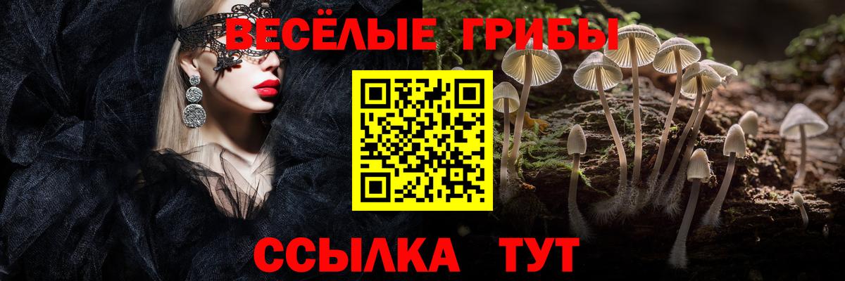 Нягань  магазин продажи наркотиков  Вход с VPN  Галлюциногенные грибы Magic Shrooms 